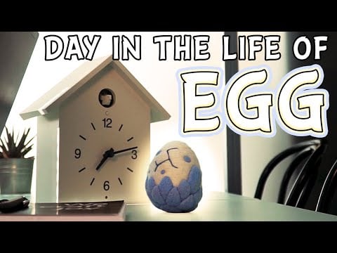 Day in The Life of Egg | Angry Birds Mystery Island