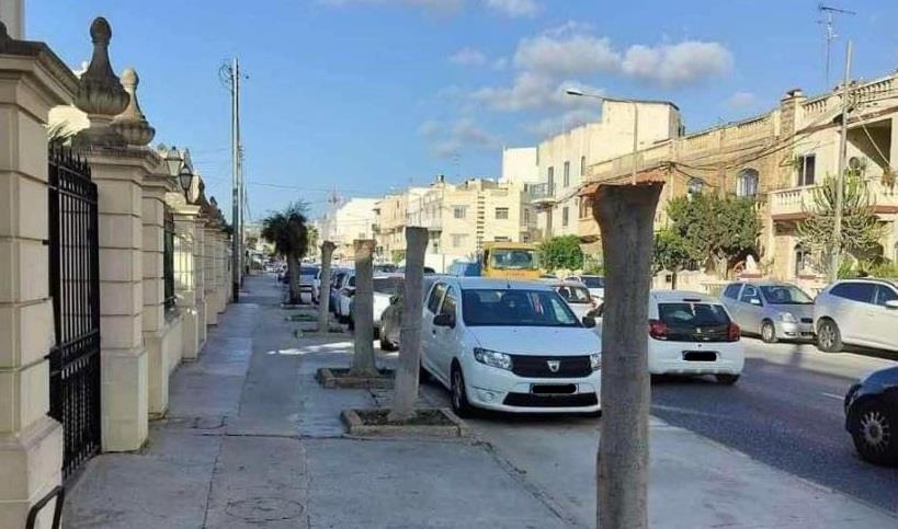 Infrastructure Malta files police report on Mosta tree pruning