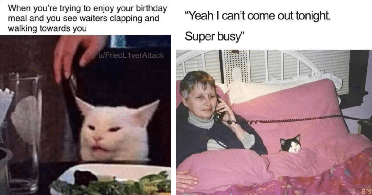 33 Nostalgic Feline Funnies That Get Us Through Our Whiskery Weary Workday, as Told by an Aging Millennial