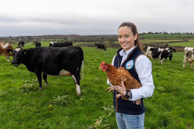 How this family suckler farm in the Burren branched into dairy and eggs