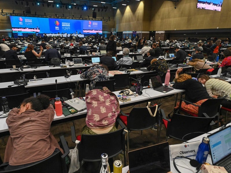 Results of Cop-16 met mostly with disappointment in Finland