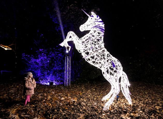 Immersive light show Wonderlights adds three new locations nationwide due to demand