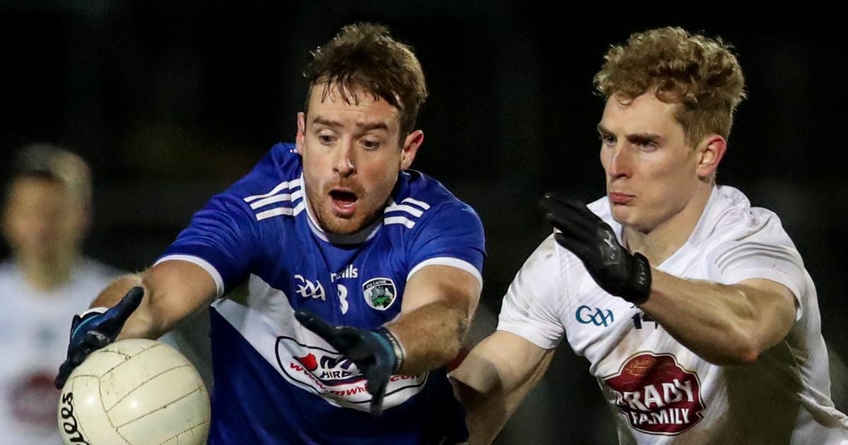 Long-serving Laois star calls it a day after 14 years