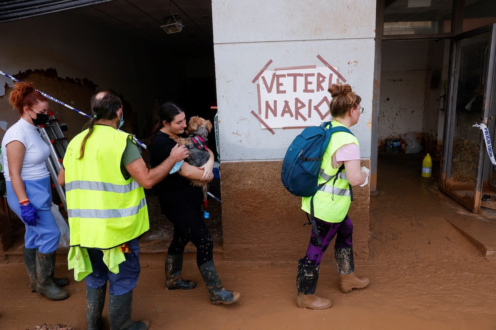 Spain floods: Improvised vet station treats pets sick from tainted mud