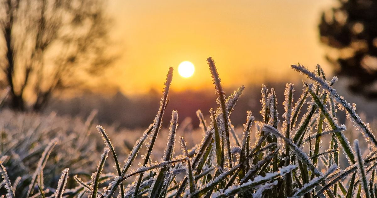 Ireland weather: Sunny days ahead as Met Eireann forecast dry, bright and clear weekend