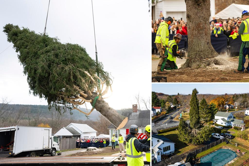 Rockefeller Center Christmas tree headed to Big Apple in honor of holiday-loving do-gooder