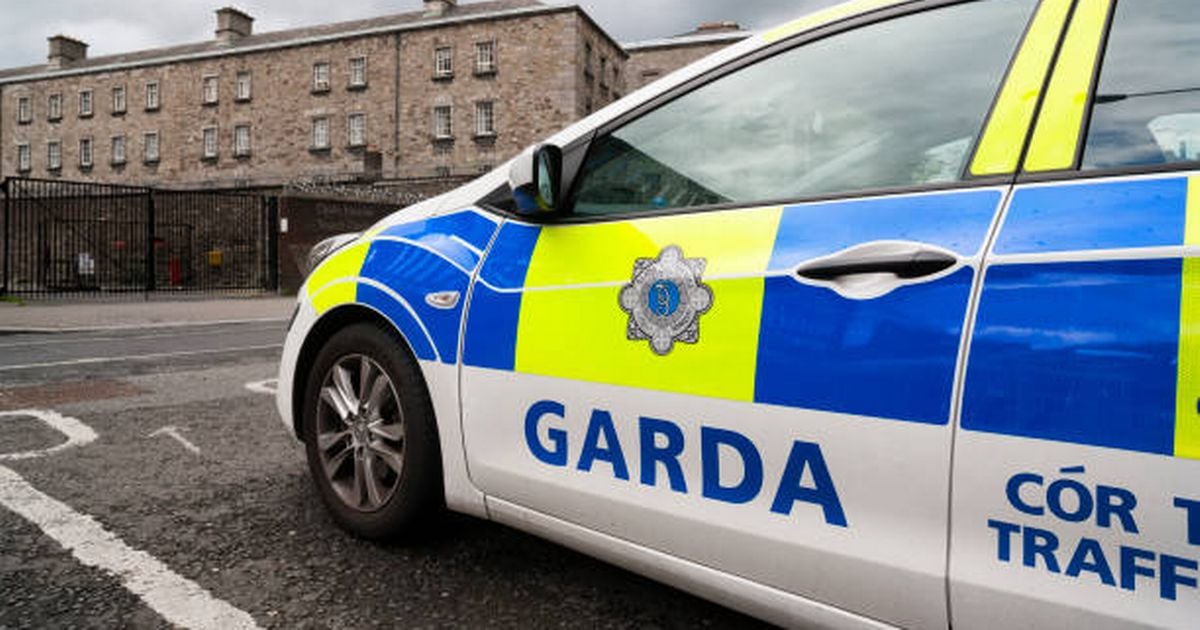 Man hospitalised following vicious assault in Dublin city centre as gardai launch investigation