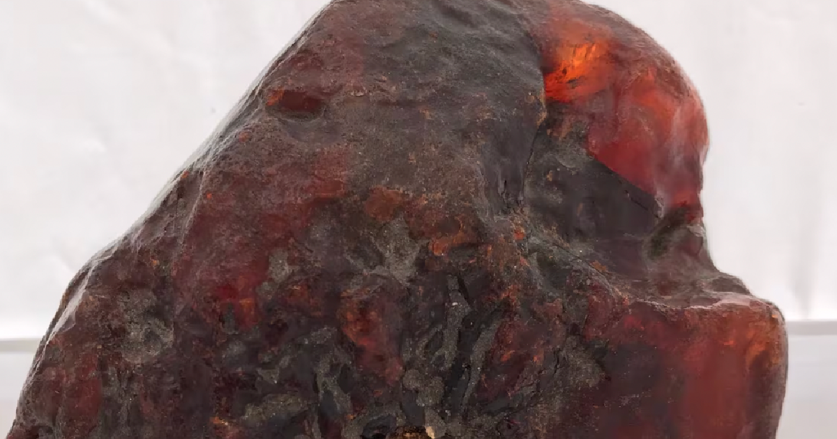 Elderly Woman Had No Clue Her Door Stop Was Actually A 34 Million-Year-Old Piece Of Amber Worth $1.1 Million