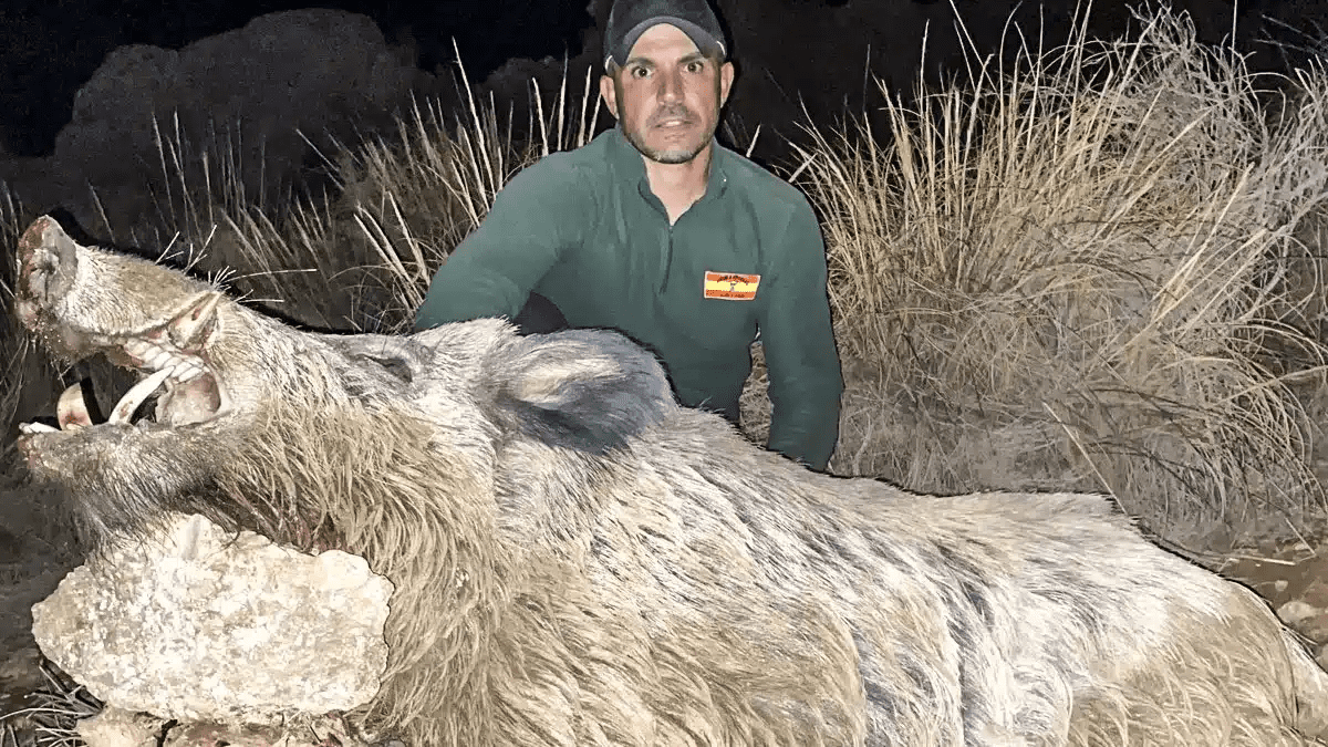 Pictured: Hunter poses with enormous wild boar in southern Spain after spending over a year tracking it down