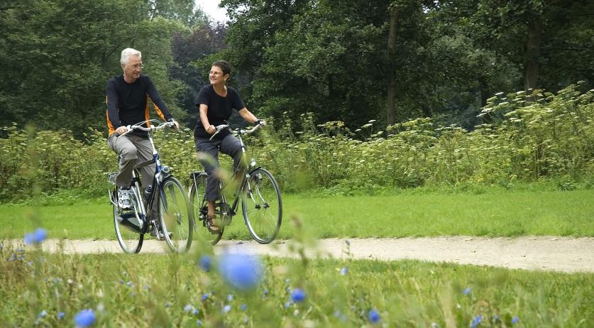 Average Dutch 65-year-old can look forward to another 21 years of life 