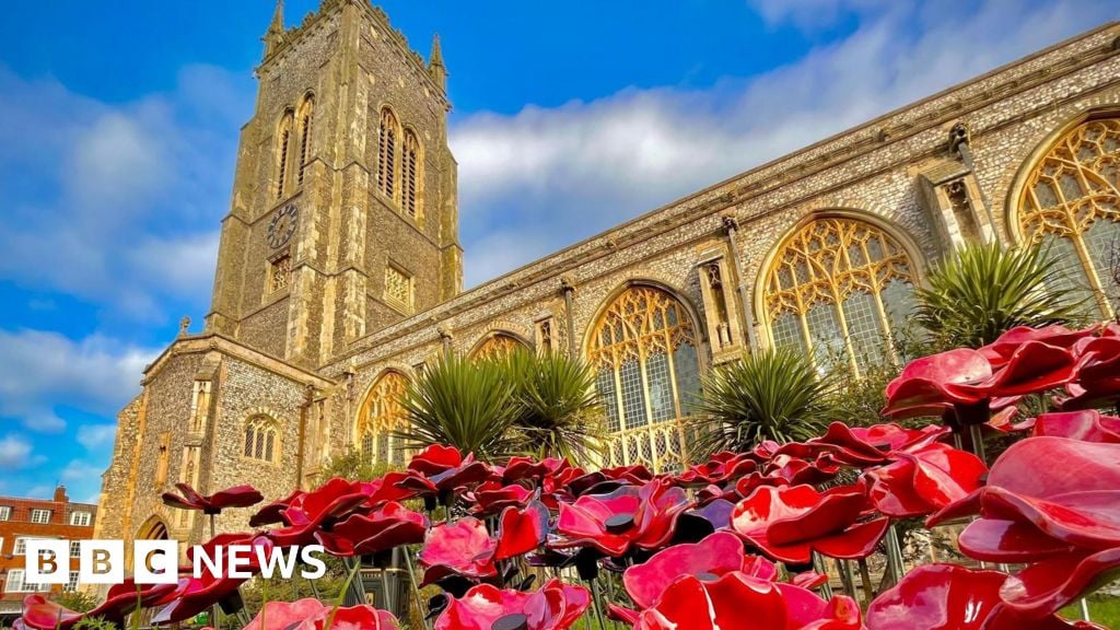 Remembrance: Why do we wear poppies?