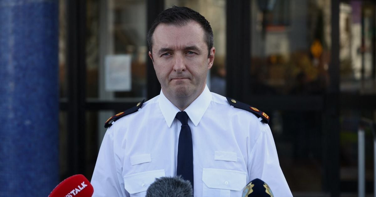 Jo Jo Dullard case: Gardai confirm search of residences and arrest of man aged in his 50s