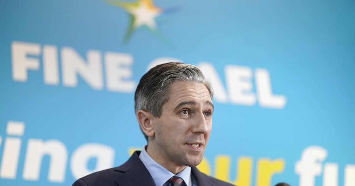 Simon Harris says Michael O'Leary will have no further part in election campaign after teacher comment