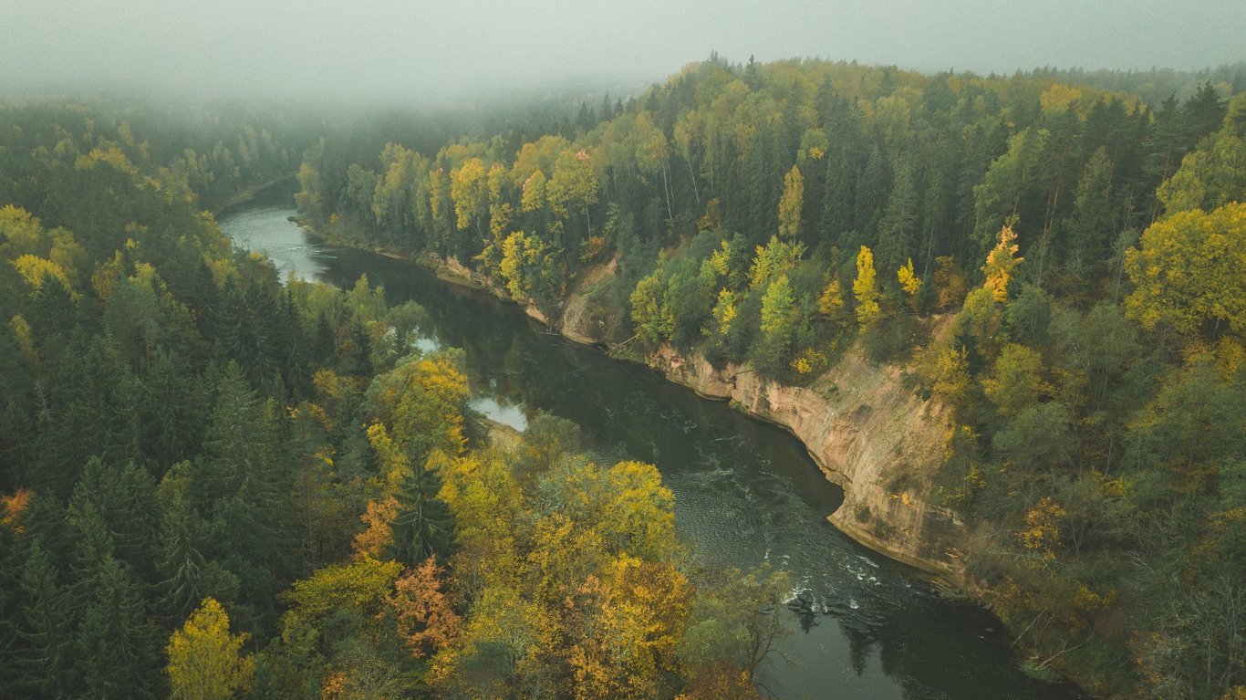 Latvian Gauja National Park to restrict clearcutting