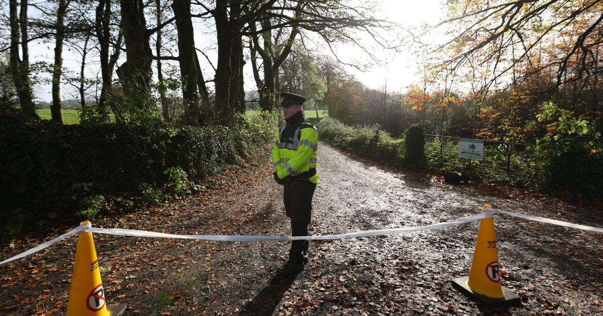 Jo Jo Dullard: Search continues at Wicklow border as part of murder investigation