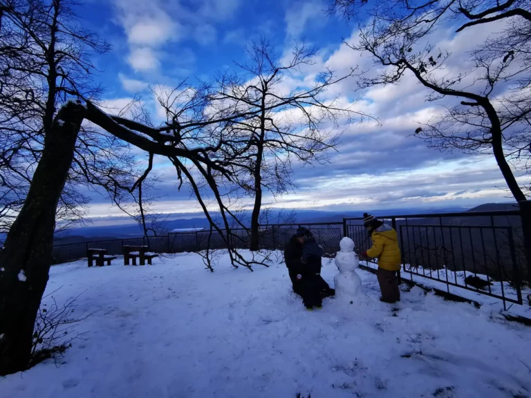 The first significant snowfall of the season could reach Hungary today!