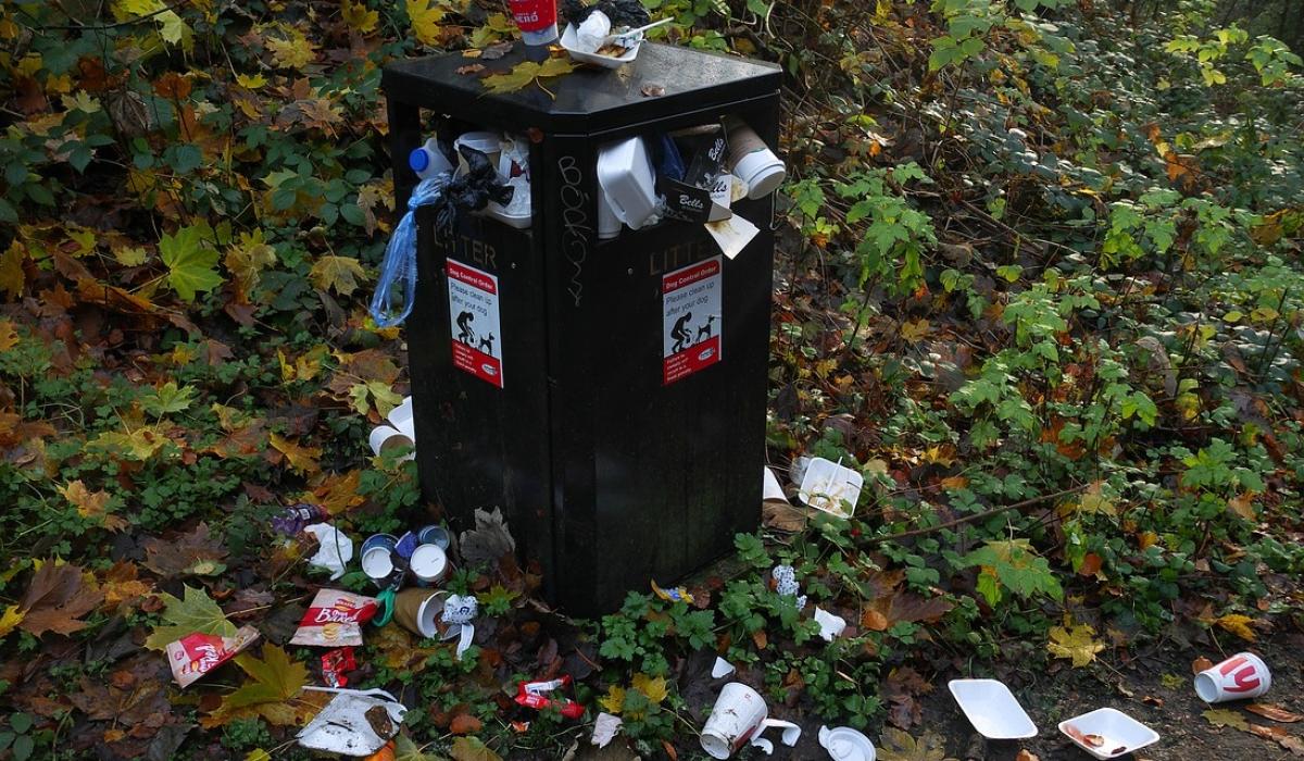 'Why have we only half of a litter warden?' Lifford-Stranorlar Councillor asks 