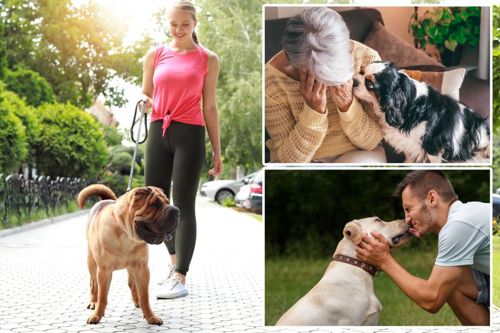 Owning a dog can help you live longer