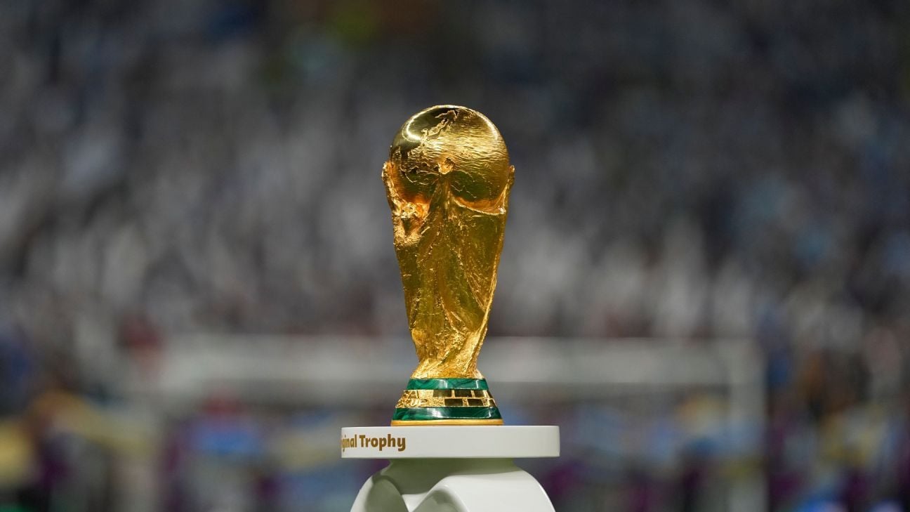 UN praises Qatar World Cup reforms, outlines areas to improve