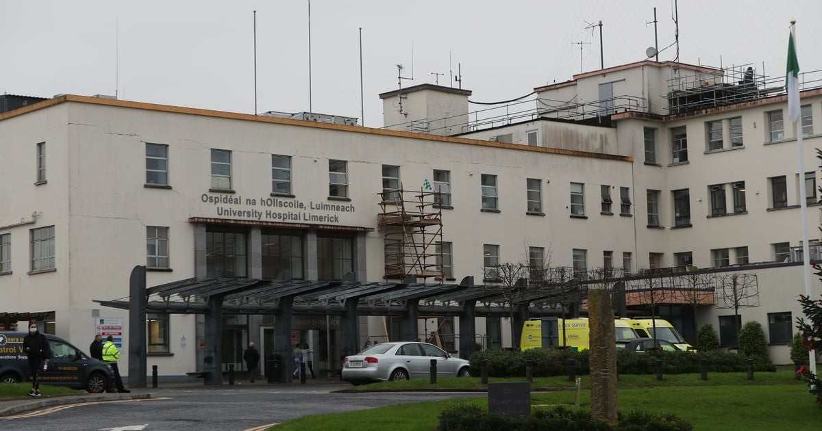 Man rushed to hospital after impaling leg on railing in building site accident in Limerick