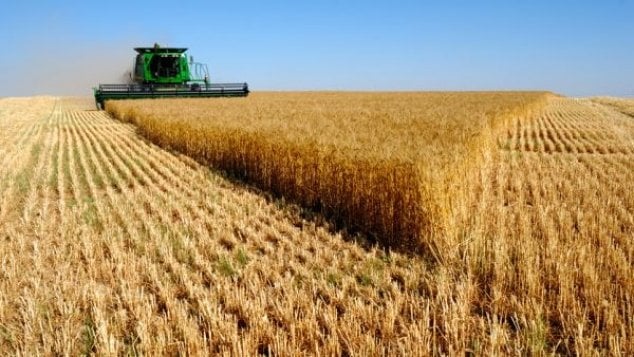 Romania Recorded 6th Highest Agricultural Growth in EU Last Year