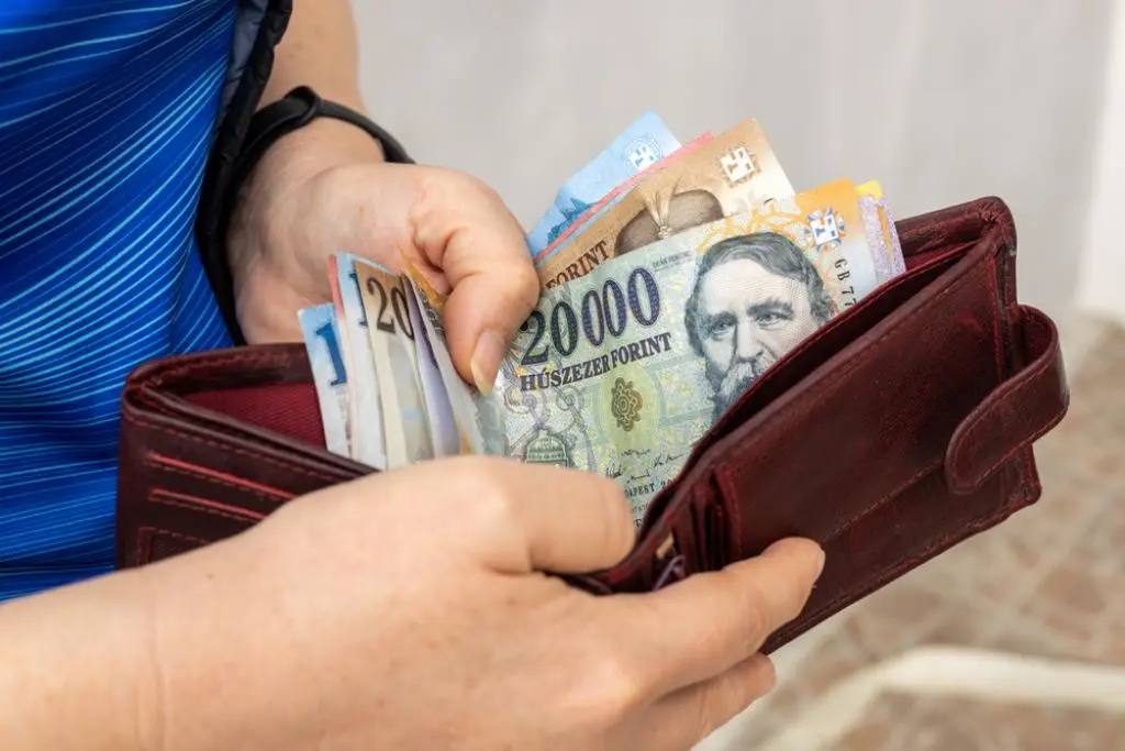 Survey: Majority of Hungarians back government plan to raise average wage to EUR 2450