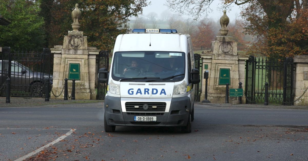 Son arrested over death of father at top five-star Laois hotel popular with celebrities 