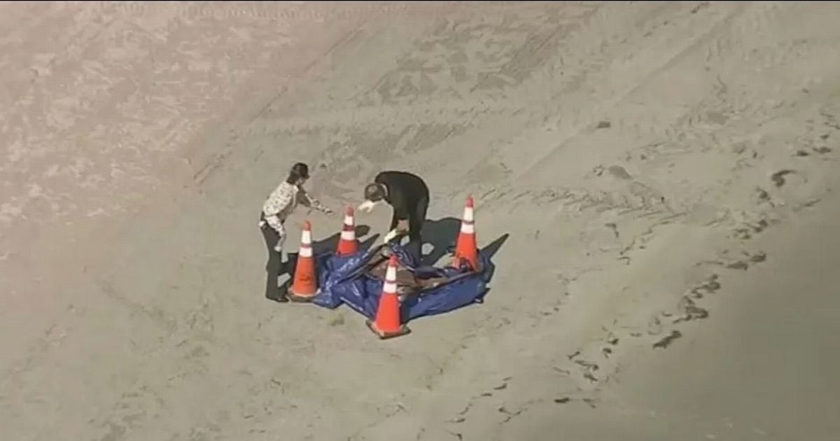 Florida locals scared to go to the beach after human head washes up in sand