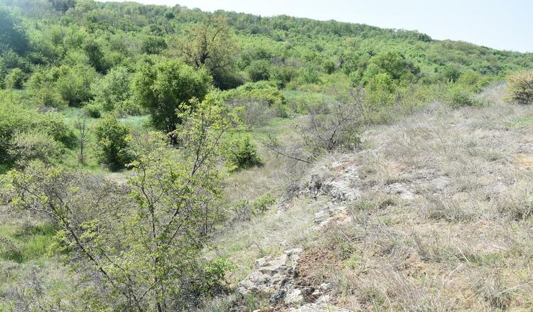 New Protected Area Declared in Kushin, N Bulgaria