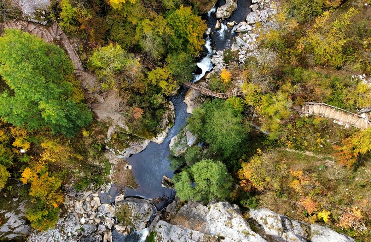 EC Refers Bulgaria and Romania to Court of Justice for Discharge of Waste Water in Environment without Treatment