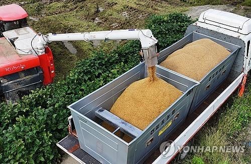 S. Korea's rice production projected to fall for 3rd year in 2024: data