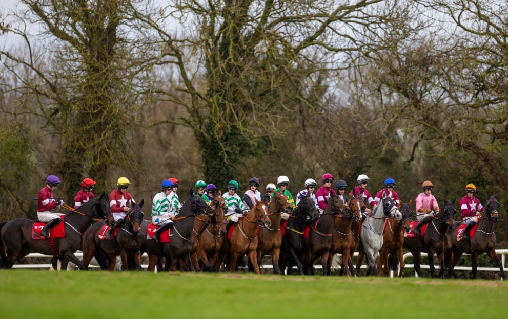 Troytown Handicap Chase 2024 trends