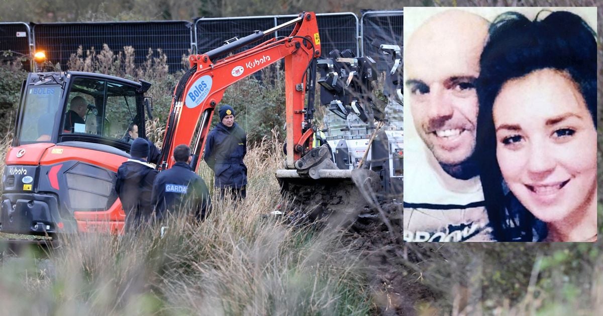 Bog land being searched for murdered Willie and Ana is adjacent to plot once owned by their suspected killer