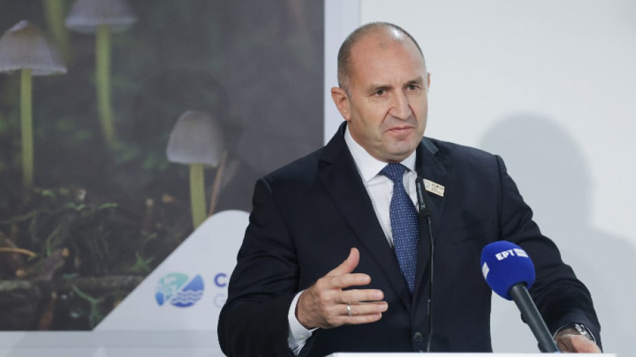 Rumen Radev: We need joint efforts for coping with the climate challenges