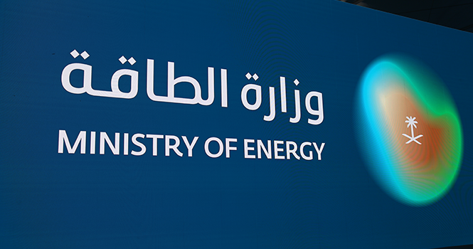 Saudi Arabia confirms support for sustainable energy future: Official