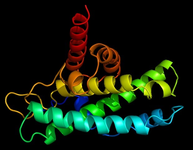 Breakthrough in protein engineering may lead to more effective cancer therapies Scientists At A...