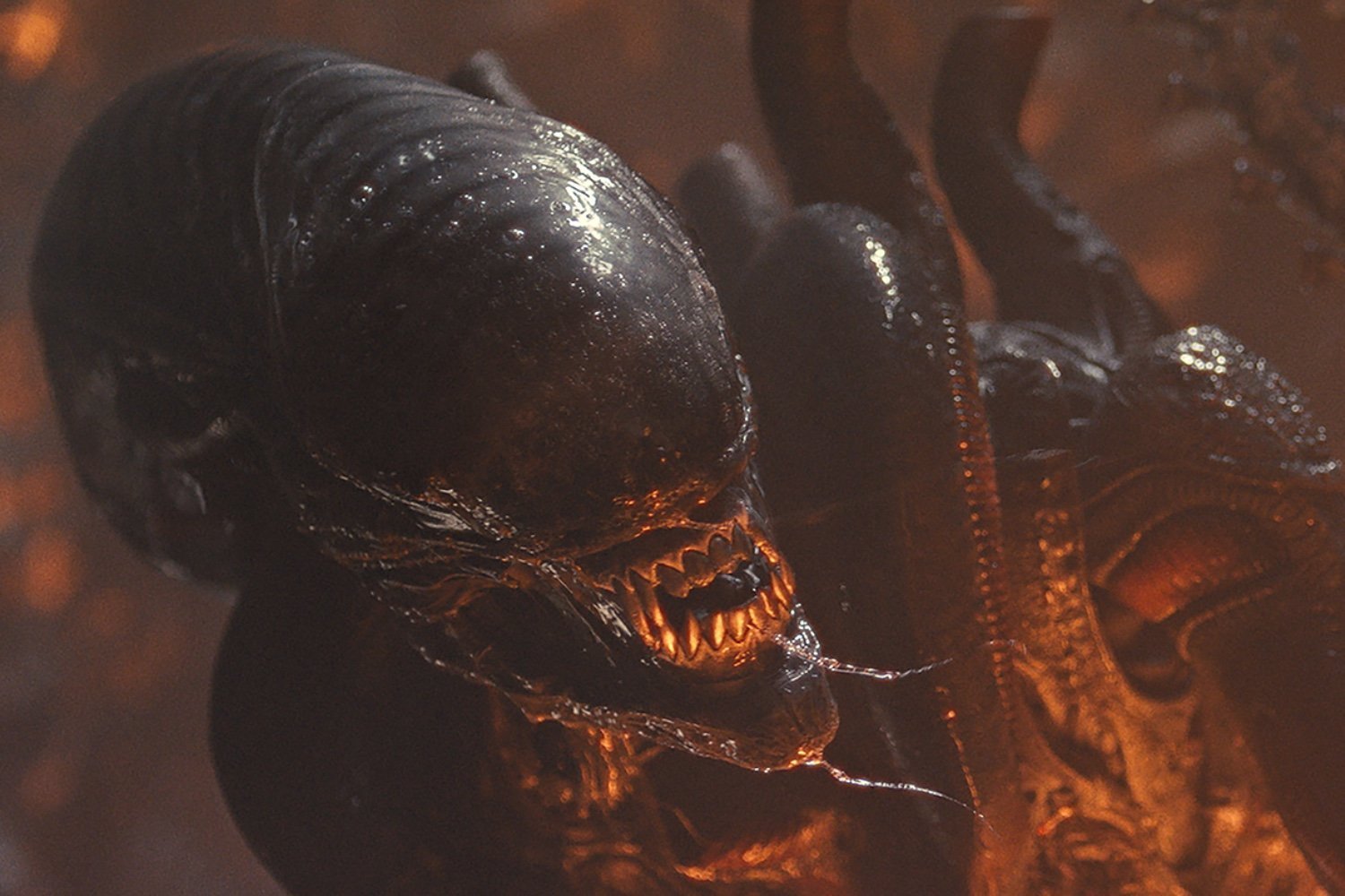 Alien: Romulus Slithers Onto Hulu and Disney+ Just Ahead of Thanksgiving