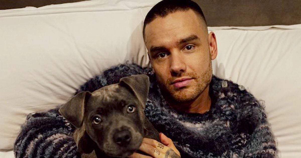 Liam Payne's heartbreaking hope for son Bear and sad signs he was trying to sort his life out