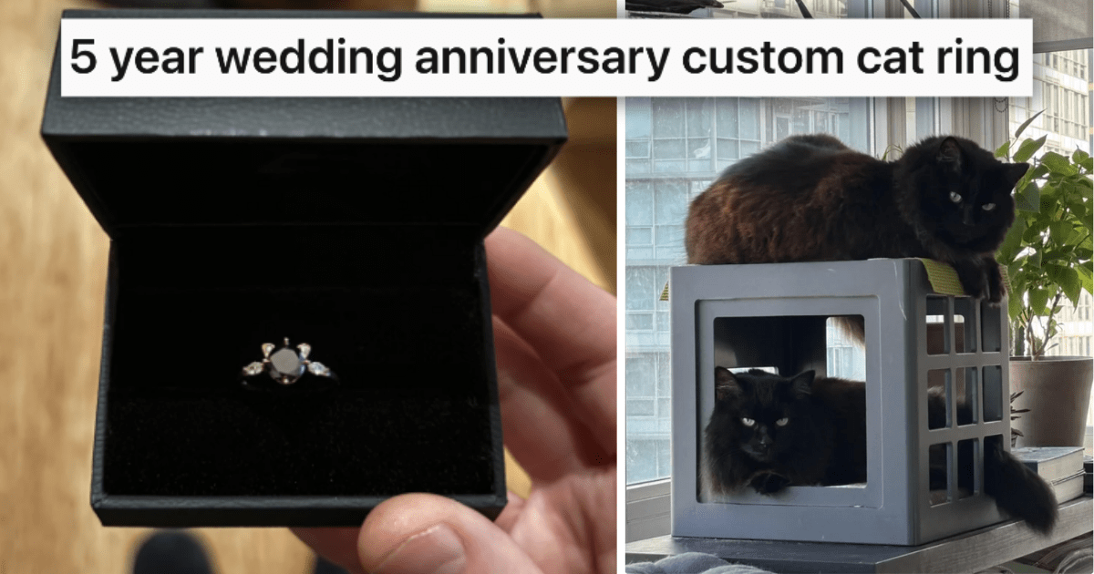 Wholesome Husband Buys Unique Cat-Shaped Anniversary Ring For His Feline Fanatic Furrever Partner, Styled After Their Fluffy Fur Babies