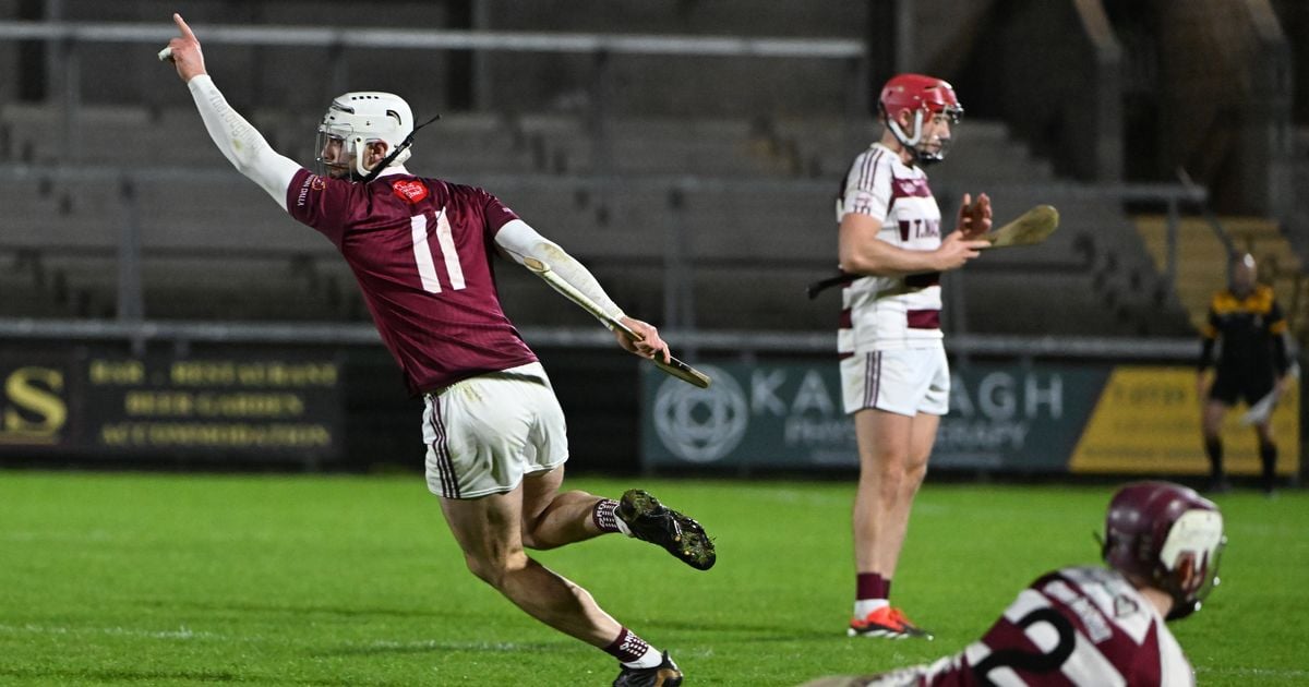 Davy Fitzgerald opens door to club star returning to county stage after remarkable 3-9 haul