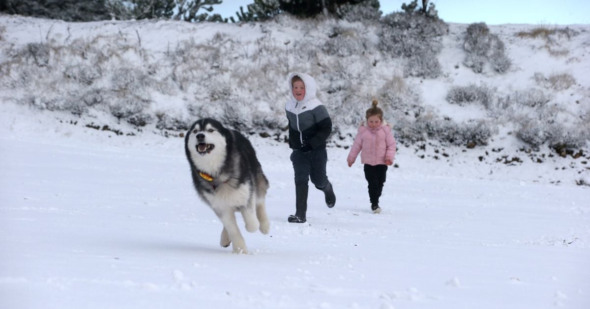 Forecaster gives verdict on snowfall as weather maps show half of Ireland covered within days