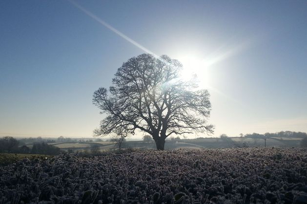 Cold snap coming: Ireland braces itself for snow, sleet and hail as temperatures set to plummet