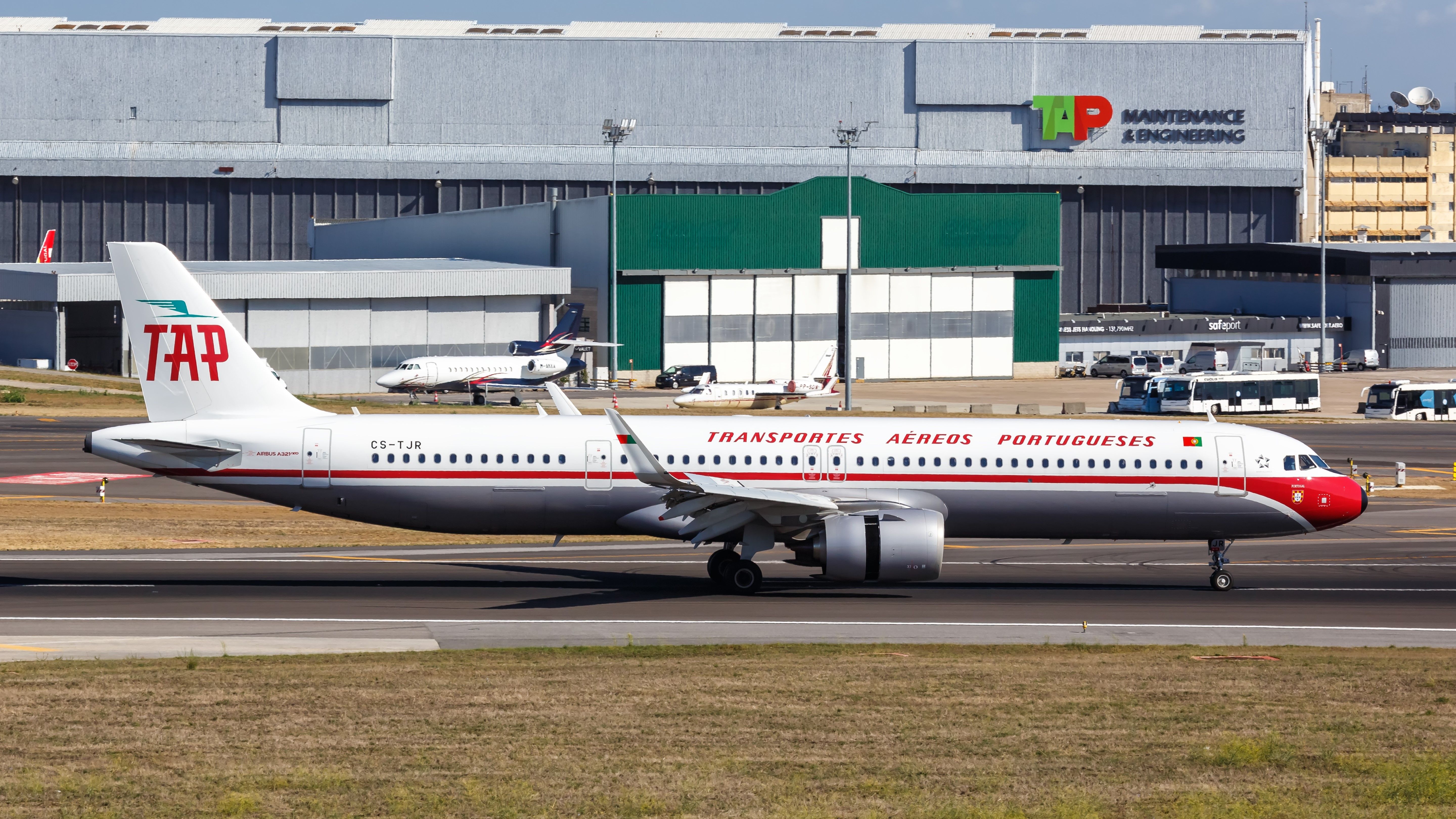 132 Hamsters Run Riot In Cargo Hold Of TAP Air Portugal Airbus A321: Grounded For Days