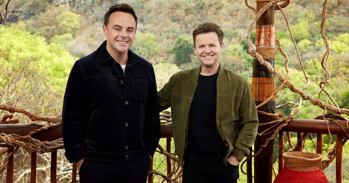 Ant and Dec left baffled as 'random man' spotted on ITV's I'm A Celeb