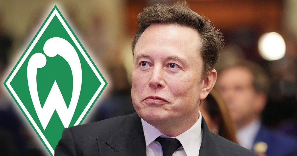 Bundesliga side leave X and blast Elon Musk for fuelling hate speech and conspiracy theories