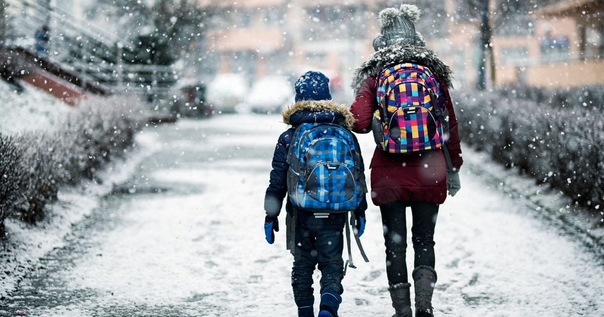 Will schools close as cold snap hits Ireland - Rules as country faces 'arctic airmass'