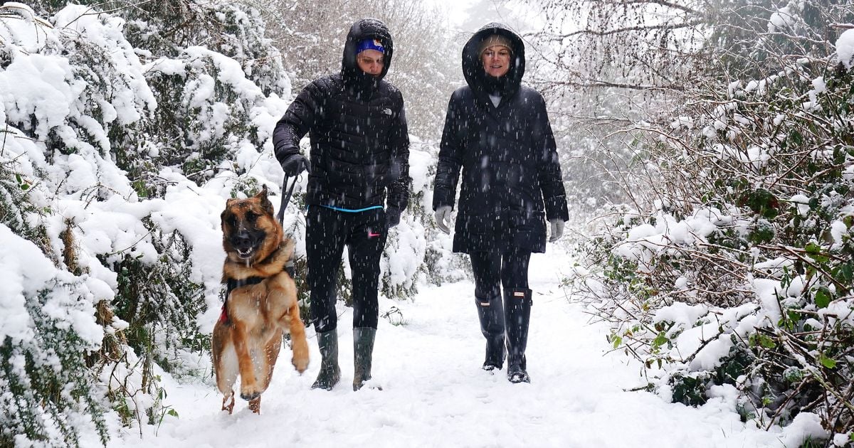 Ireland weather: Six essential food items Irish households are urged to buy before 'snowstorm' hits 