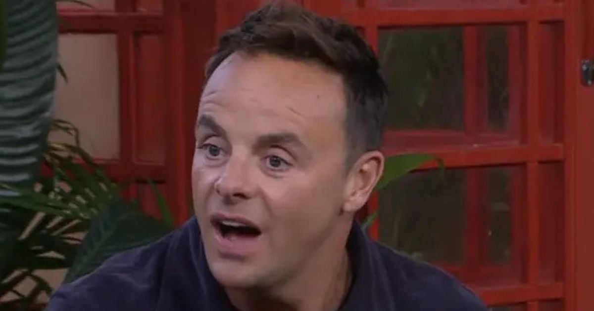 ITV I'm A Celebrity's host Ant McPartlin makes savage five-word comment at new campmate