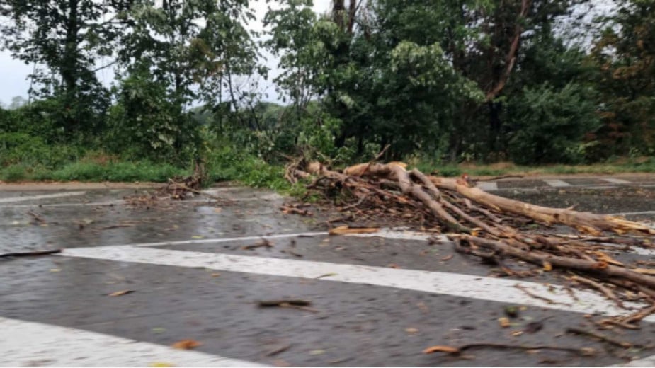 Damage control teams in Shumen clear up fallen trees due to strong wind