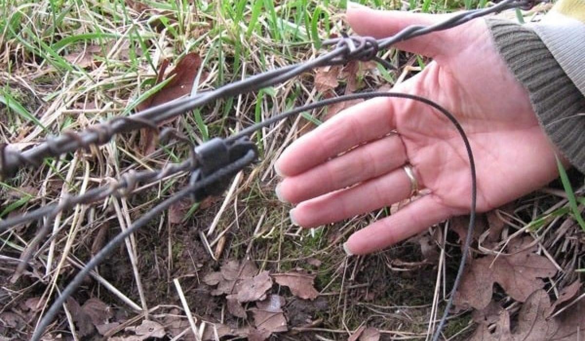 Warning of illegal snares in Fanad area posing danger to pets and wildlife